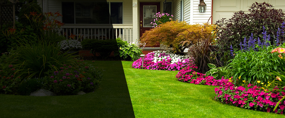 Dwight Landscapers
