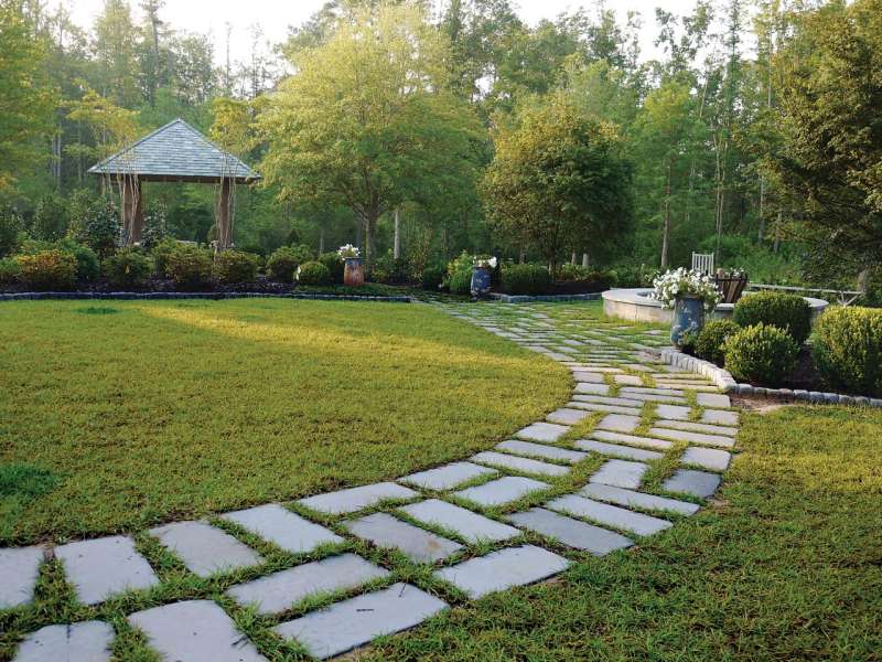 Tree Cutting